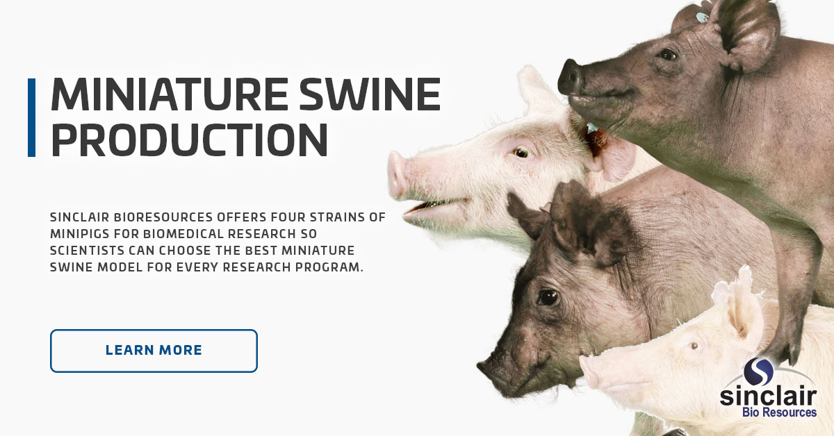 Miniature Swine Production ⋆ Sinclair Bio Resources