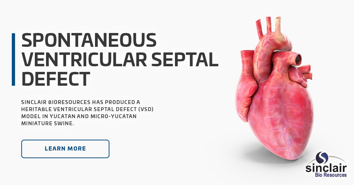 Spontaneous Ventricular Septal Defect ⋆ Sinclair Bio Resources