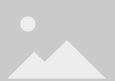 Pig Models for Gene Therapy: Prevalence of Adeno-associated Virus Neutralizing Antibodies in the Yucatan Miniature Swine and the Sinclair Nanopig